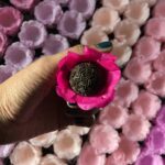 1000 Forminhas para Doces Finos Formato Flor - Casamento/Aniversário/Batizado- Diversas Cores