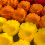Forminhas Para Doces Finos Modelo Floral Para Casamentos e Festas