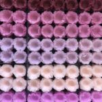 40~120 FORMINHAS CORES FLORAL PARA BRIGADEIRO E DOCES FINOS CASAMENTOS, DEBUTANTES E DECORAÇÃO
