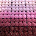 400 FORMINHAS DE DOCES FINOS FLOR FLORAL CASAMENTO FESTAS 39 CORES